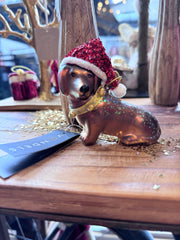 Vondels - lille gravhund med nissehue