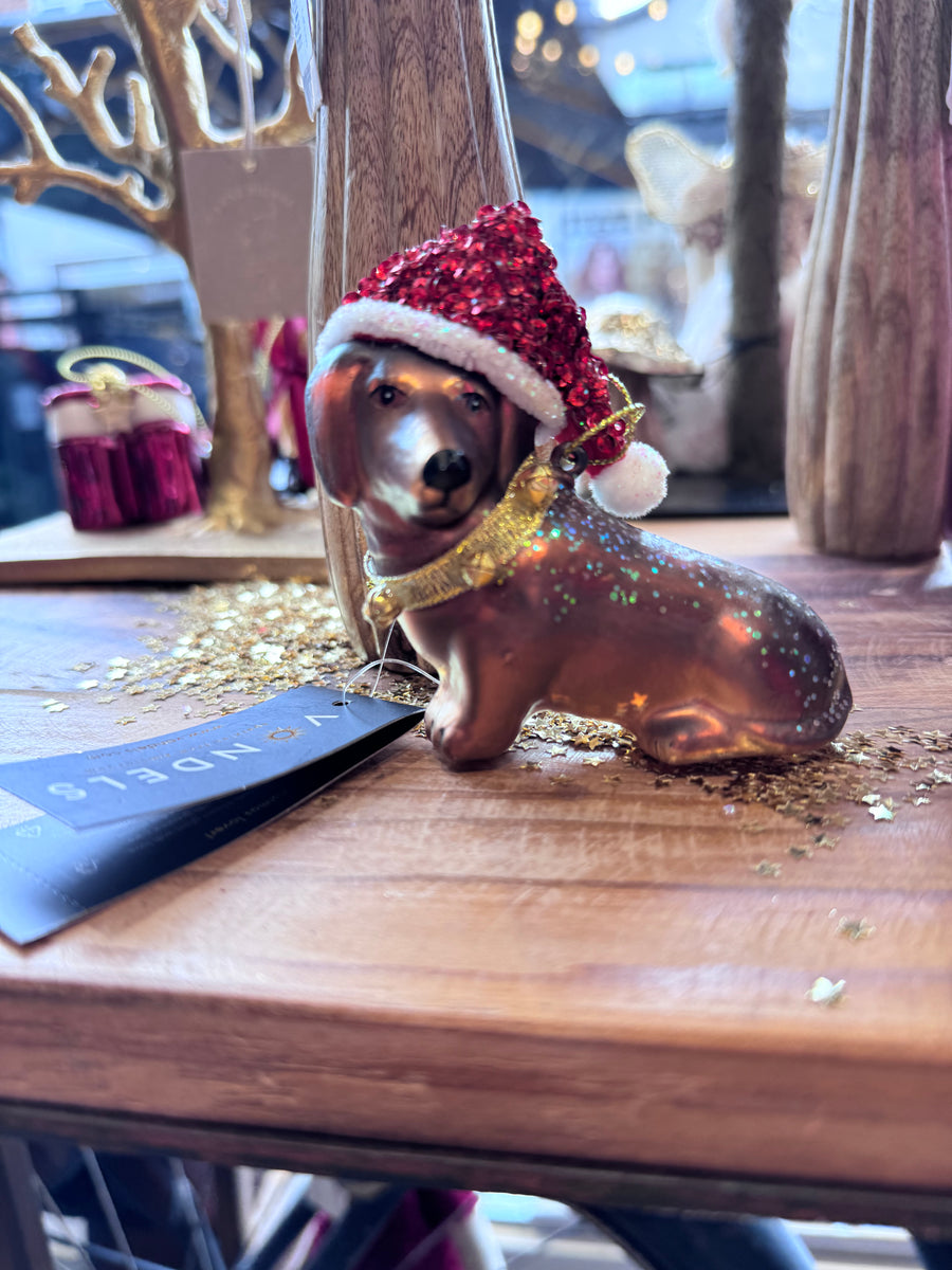 Vondels - lille gravhund med nissehue