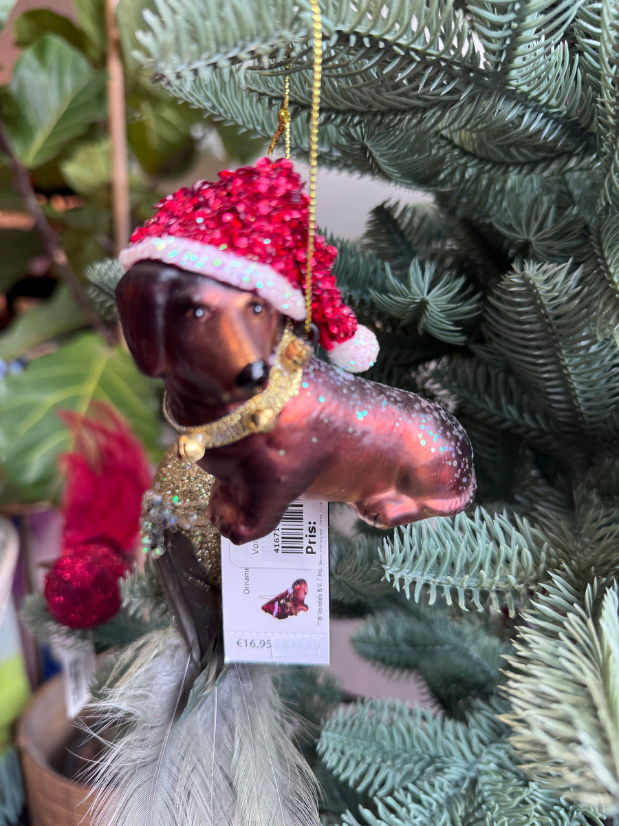 Vondels - lille gravhund med nissehue