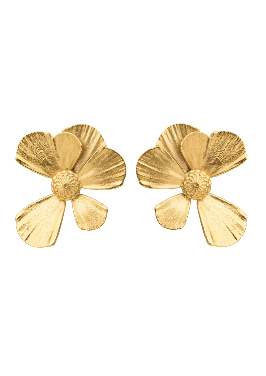 House of Vincent - Wildflower ample